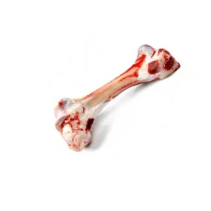 Beef Marrow Bone