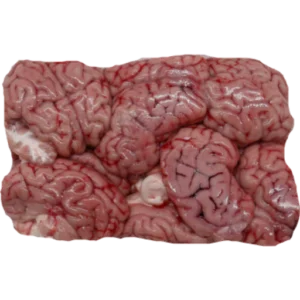 Lamb Brains (Frozen)