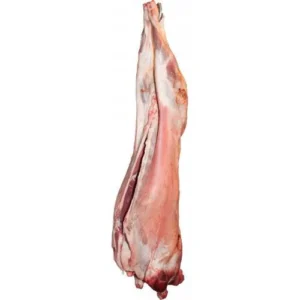 Whole Lamb