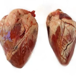 Lamb Heart