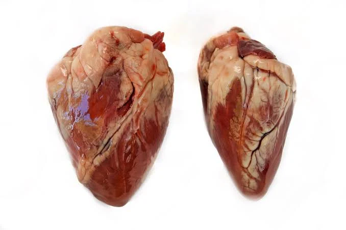 Lamb Heart